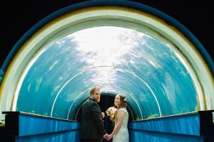 wedding photography bristol zoo