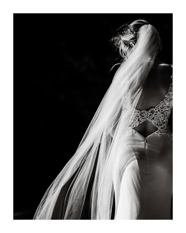 Details - Light, Shadow and beautiful Black & White. Taken at Helen and Martin’s wedding at Fairyhill in the Gower, Wales.

Venue @fairyhill 
Florist: Maureen Cotten
Dress: @justinalexander 
Suits: @reiss 
Cake: @catherinescakery_

FAIRYHILL WEDDING | WEDDING PHOTOGRAPHER WALES

#fairyhill #fairyhillwedding #fairyhillgower #fairyhillweddingphotographer